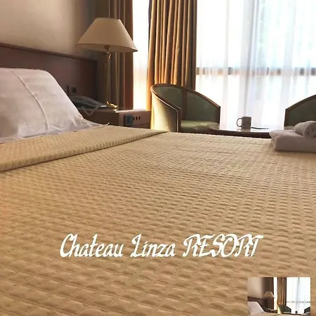 Chateau Linza 호텔 4*