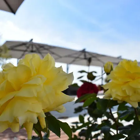 Hotel Chateau Linza Tirana