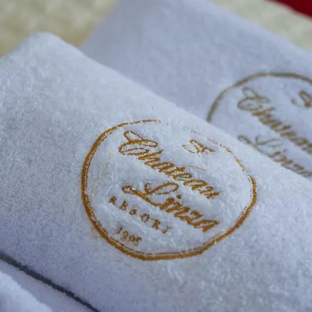 Отель Chateau Linza 4*